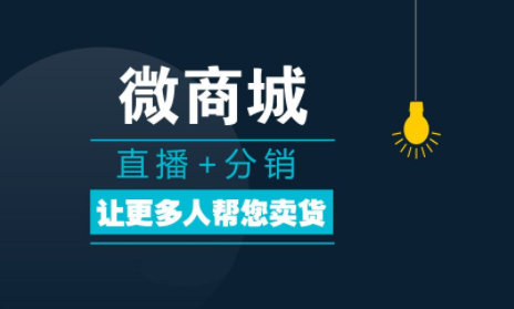 微商分銷(xiāo)系統(tǒng)的主要功能有哪些？