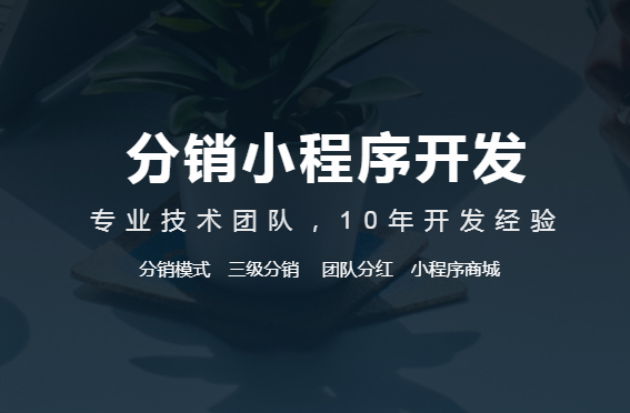 分銷軟件系統有哪些功能？